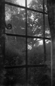 old_negatives_found_contact_print_frame_06 A vintage negative view from looking out of a window, found in an old contact printing frame