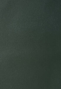 Milly Cameras camera recovering leather skins british racing green