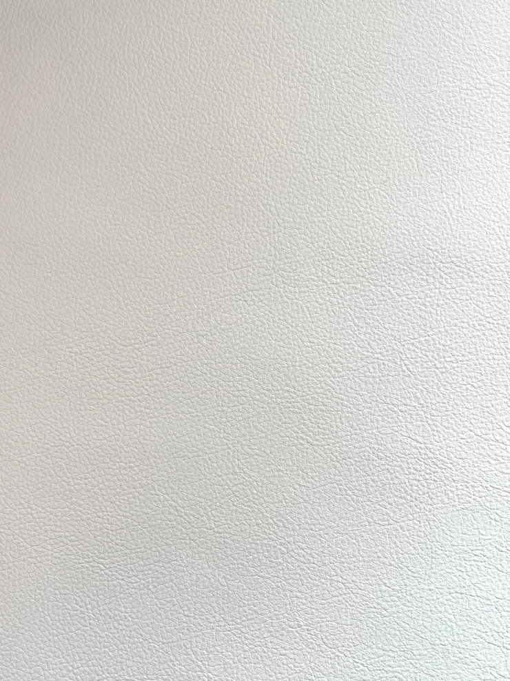 Millys Cameras camera recovering-leather buff white
