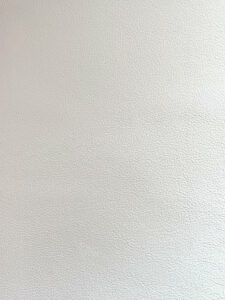 Millys Cameras camera recovering-leather buff white