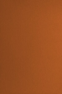 Milly-Cameras-camera-recovering-leather-skins-burnt-orange