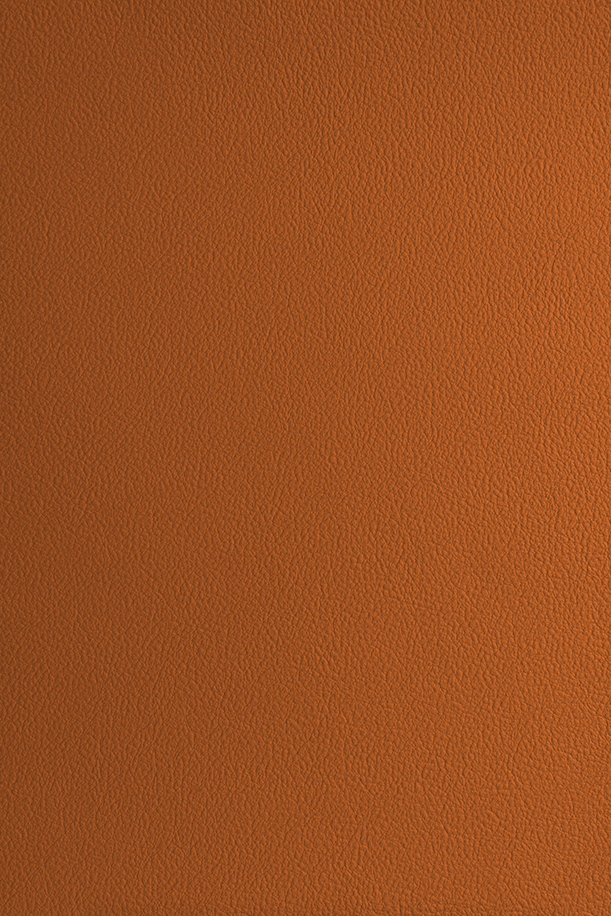 Milly-Cameras-camera-recovering-leather-skins-burnt-orange