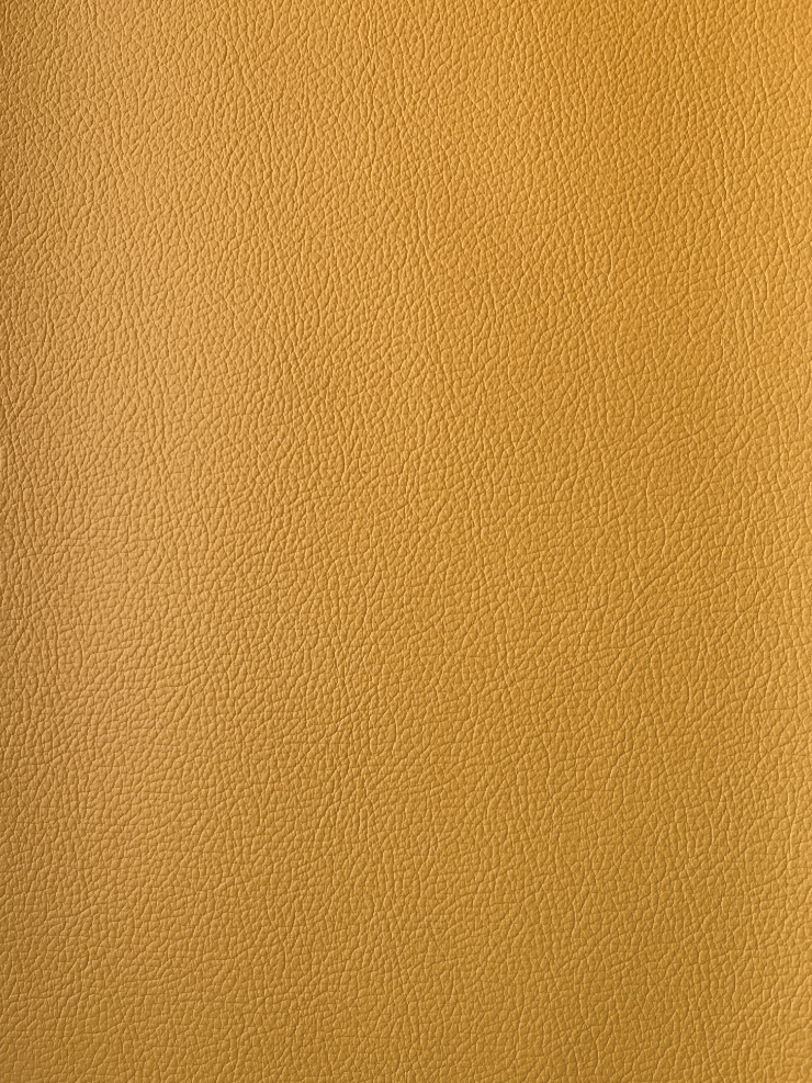 Milly Cameras camera recovering leather skins golden yellow