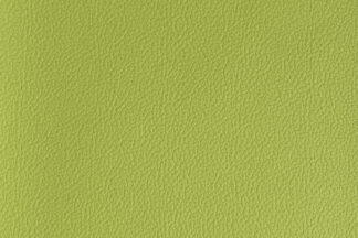 Milly-Cameras-camera-recovering-leather-skins-lime-green