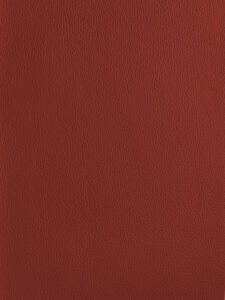 Milly-Cameras-camera-recovering-leather-skins-red