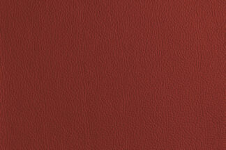 Milly-Cameras-camera-recovering-leather-skins-red