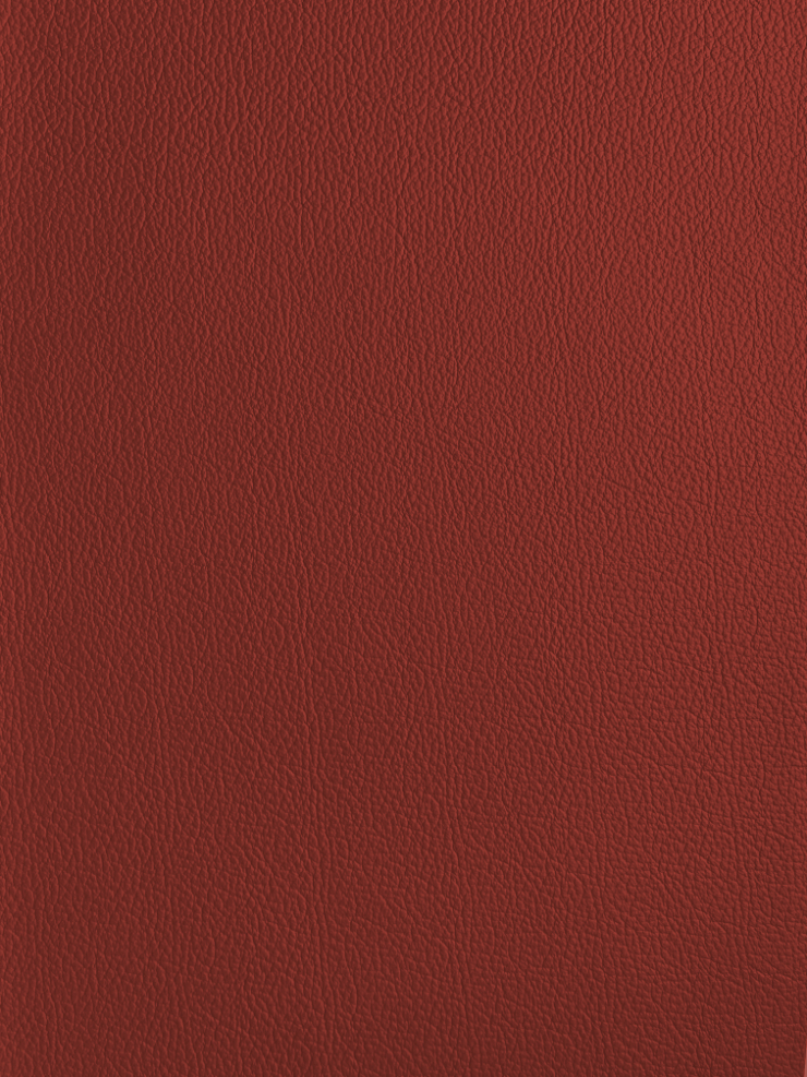Milly-Cameras-camera-recovering-leather-skins-red