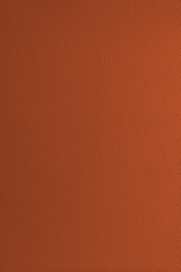 Milly-Cameras-camera-recovering-leather-skins-sunset-orange