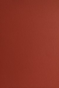 Milly Cameras camera recovering leather skins sunset orange