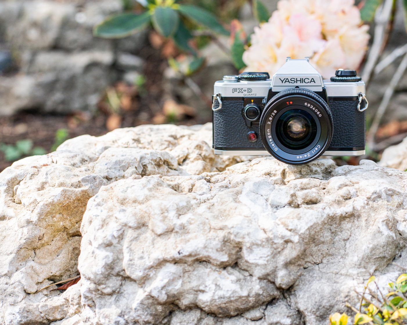 Yashica fx-d Custom Film Camera Leather - Millys Cameras - Jayne Louise Photography Brand Photographer