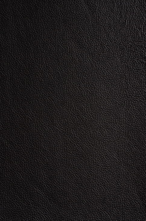 Milly's Cameras - Black Camera Leather