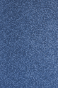 Milly's Cameras - Yale Blue Leather