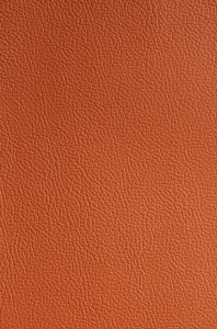 Burnt Orange