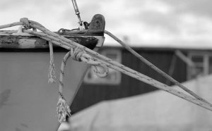 Ropes Kodak D-23 3:1