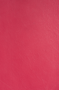 Lipstick Pink Leather