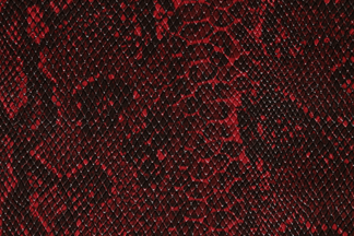Milly's Cameras - Red and black snake camera leatherette