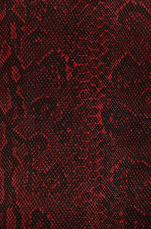 Milly's Cameras - Red and black snake camera leatherette
